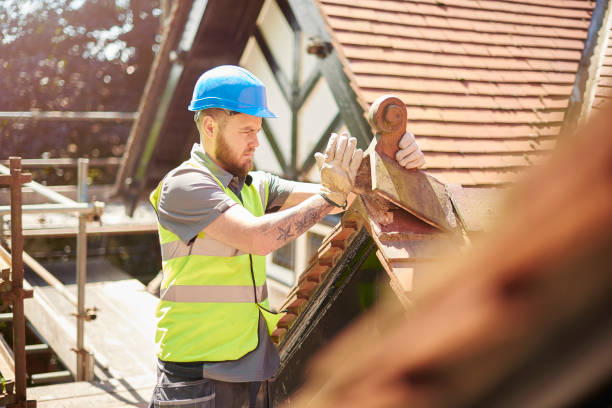 Best Roof Gutter Cleaning  in Iyanbito, NM
